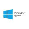 microsoft-hyper-v-300x300